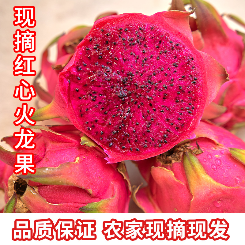 金都一号红心火龙果新鲜当季水果皮薄多汁香甜饱满