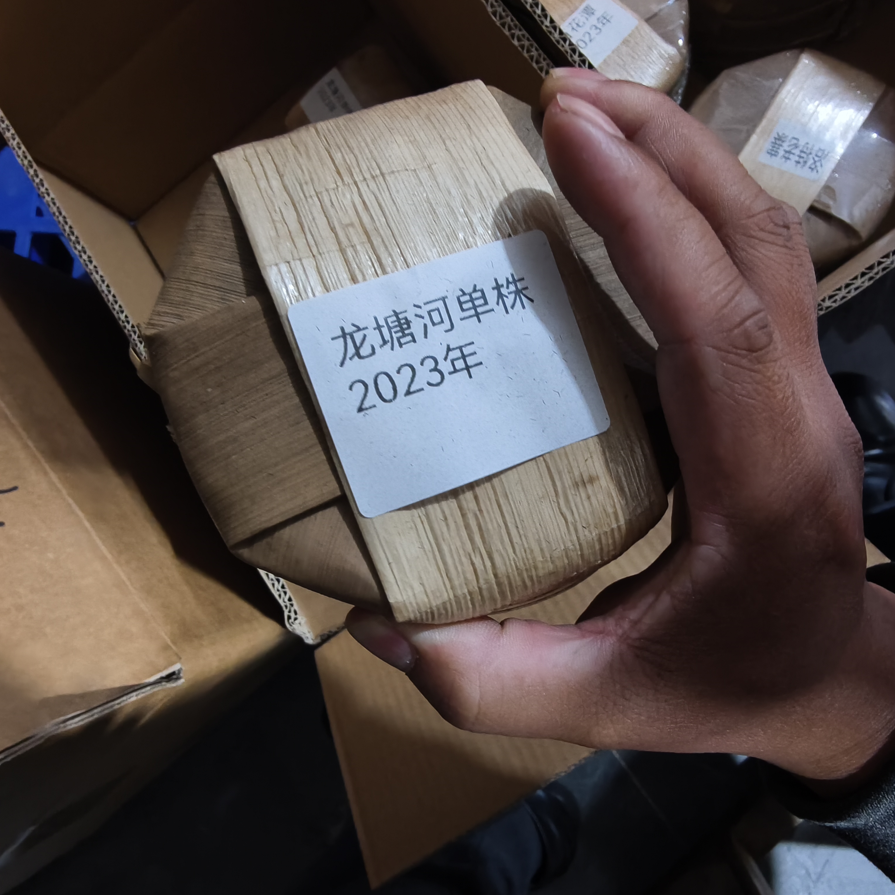 易武纯手工制作2024年易武秘境龙塘河高杆单株普洱生茶饼100克/饼