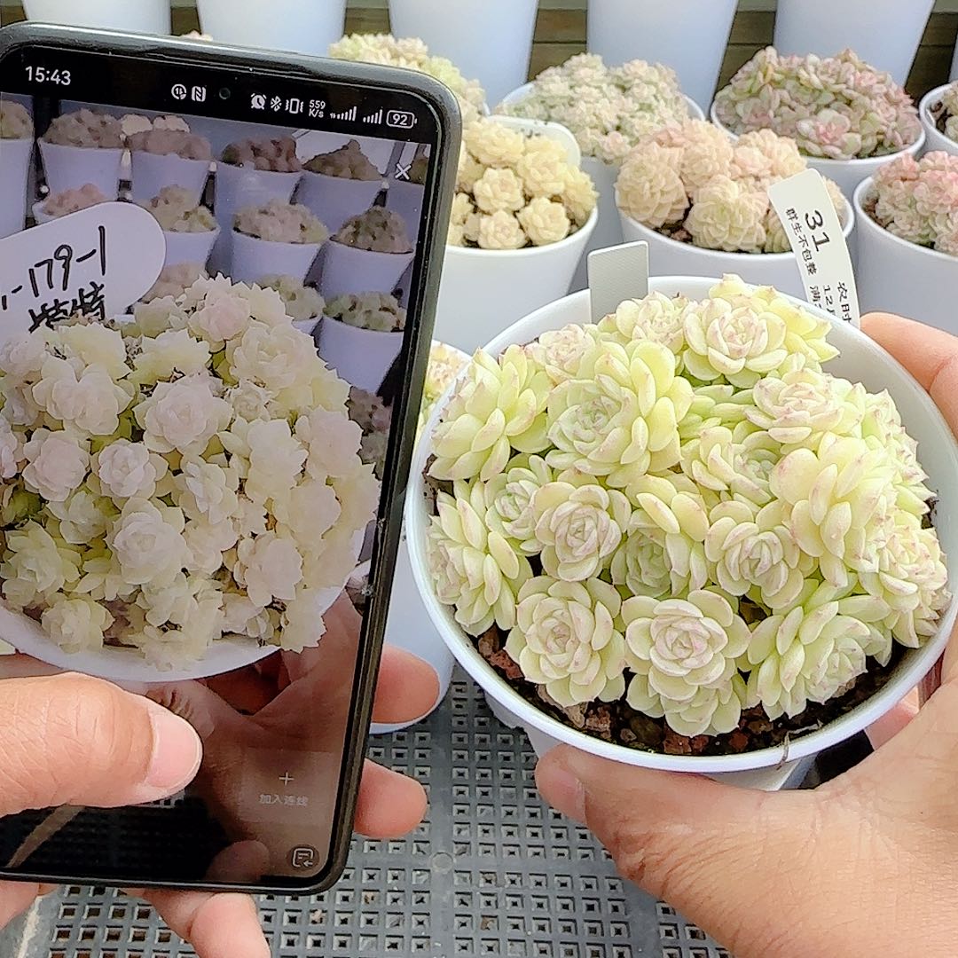 1207-31（m1-179-1）