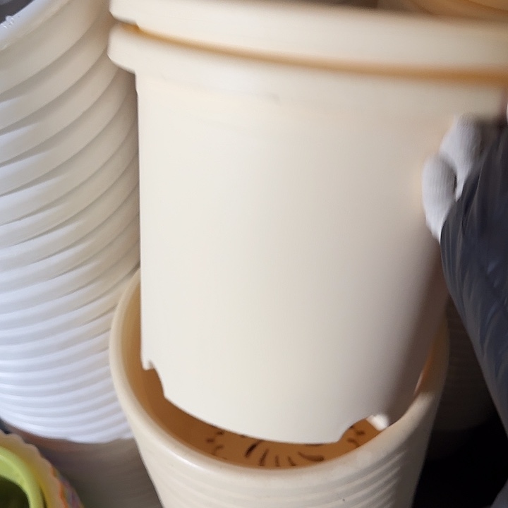 四季5#口径29米黄10个无托