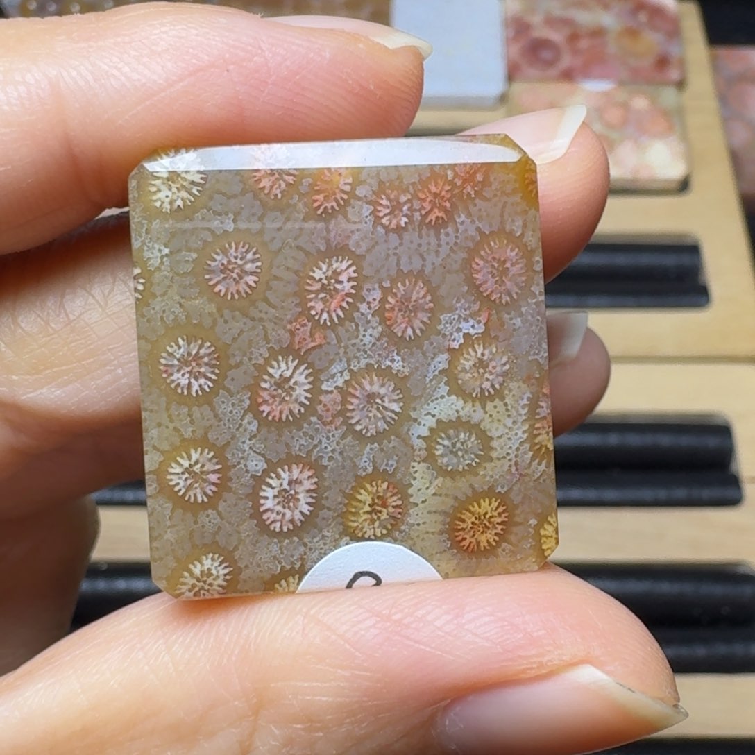 硅化玉冰彩花，有1个骨骼未镶嵌