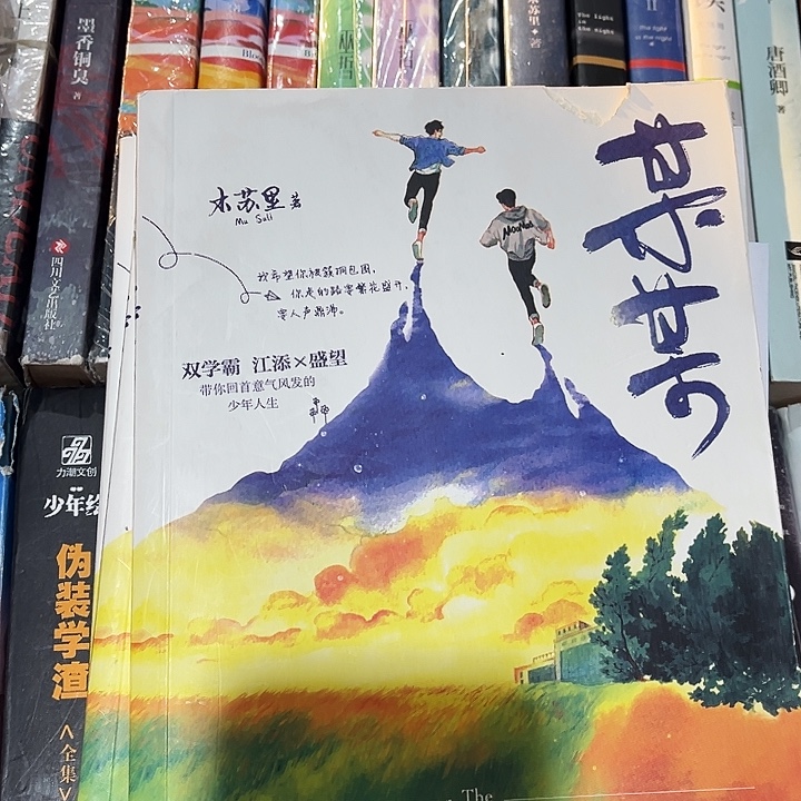 某某全新全套三本带周边未删减