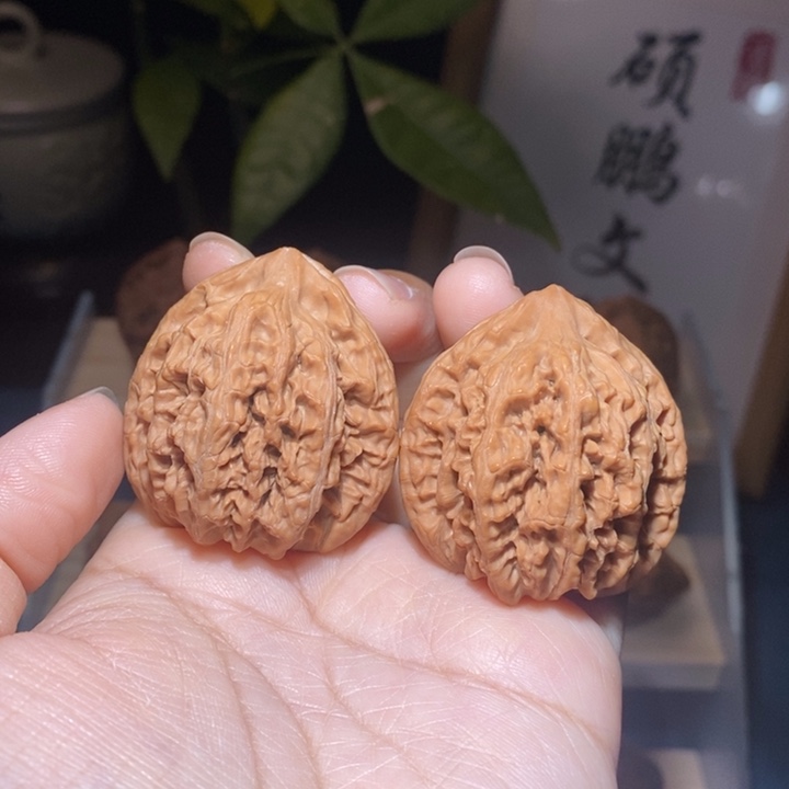 文玩核桃吊坠龙脊