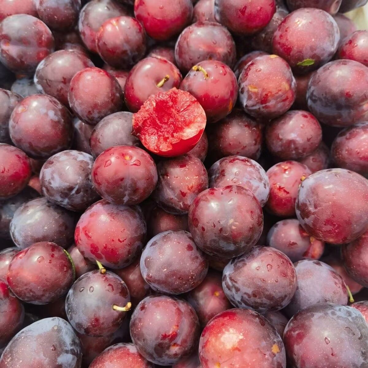 樱桃李限时限量福利净重2.5公斤次日达新疆维吾尔自治区