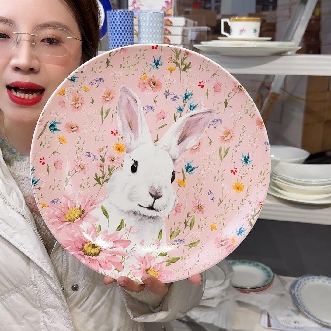 骨瓷12英寸平盘30.5cm一个瑕疵品不忒不还 