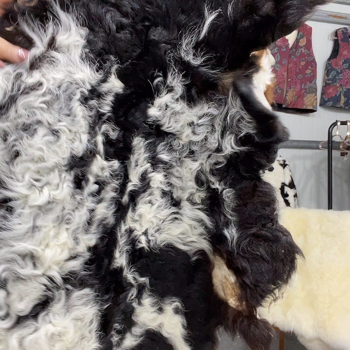 双面款羊皮羊羔皮