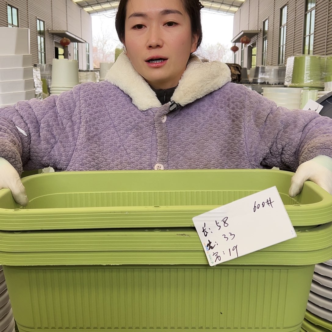 菜盆600#果绿3个无托