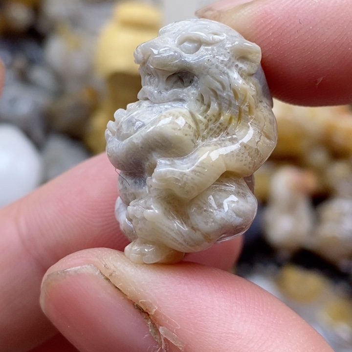 颈饰未镶嵌硅化珊瑚（珊瑚玉）小