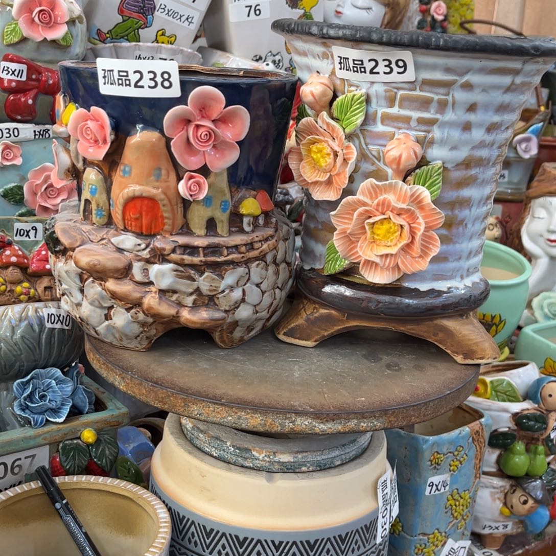 孤品238孤品239。  