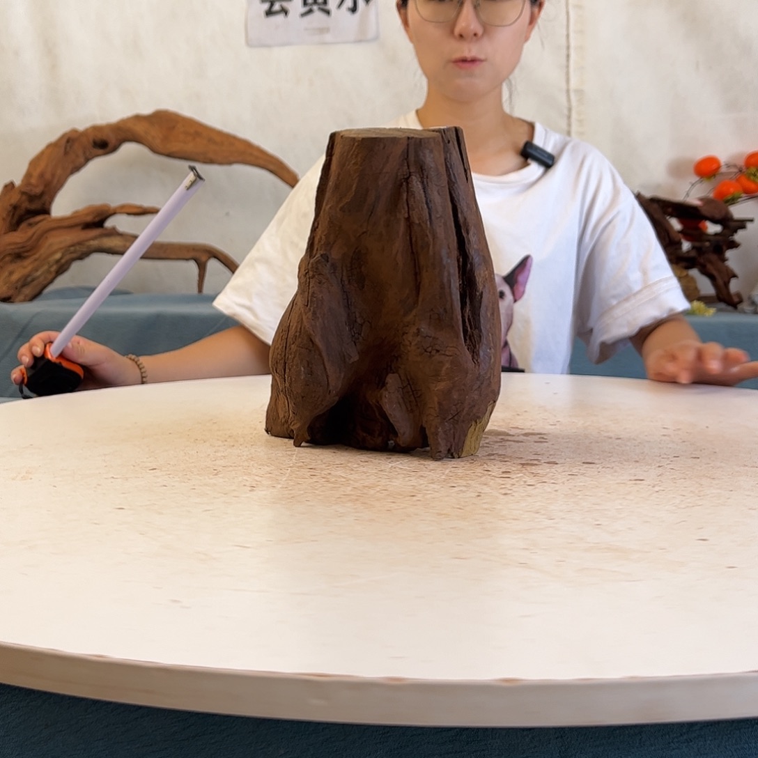 沉木造景寄居蟹景