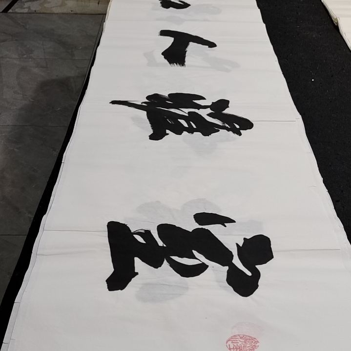 翰墨申国栋老师作品