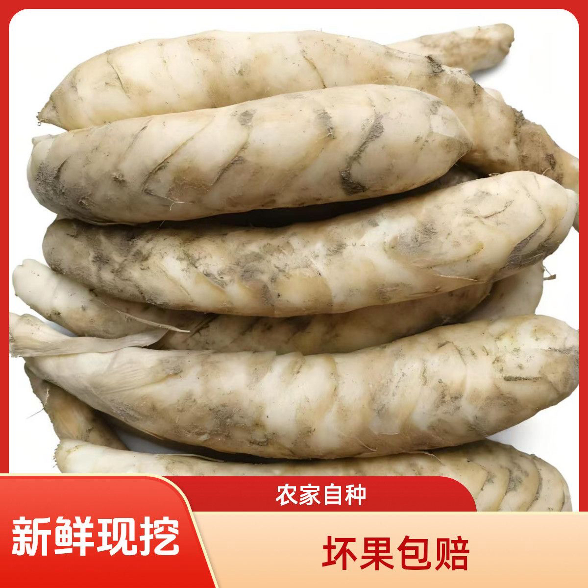 2025新鲜竹薯煲汤 冬粉薯 东京薯竹薯 冬粉薯 煲汤