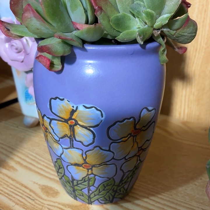 多肉花盆满15包邮