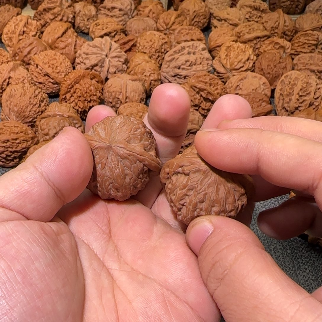 文玩核桃把件37全品铁锤