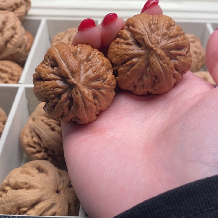 丽***）把件文玩核桃霸王龙