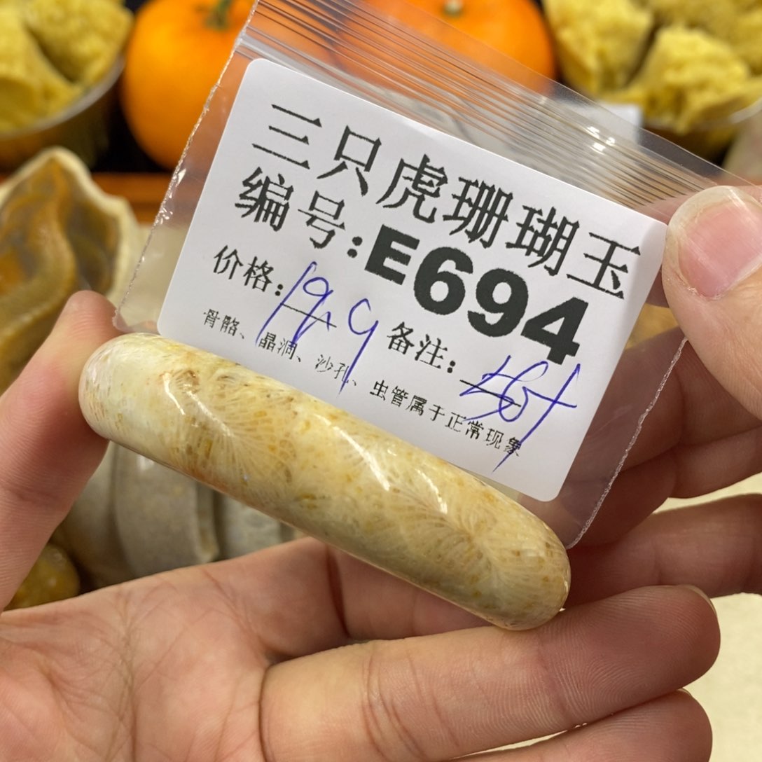 硅化珊瑚（珊瑚玉）1未镶嵌邹*