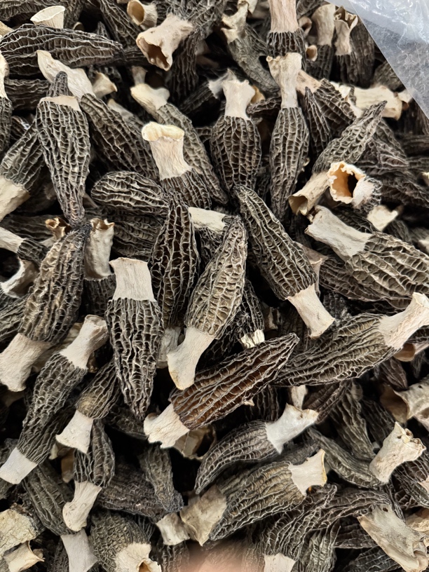 头茬厚肉羊肚菌福利款货不对板假一赔十