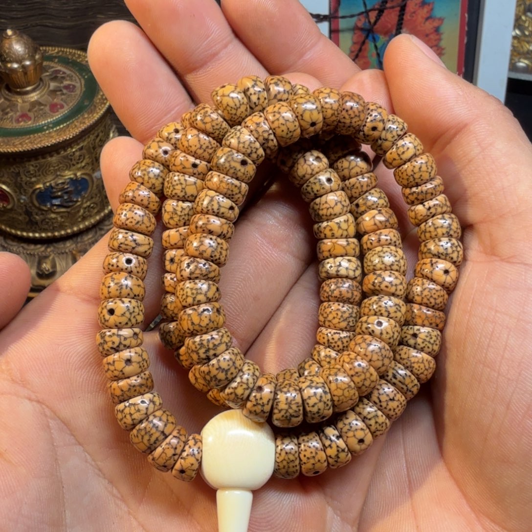 小尺寸小尺寸小尺寸