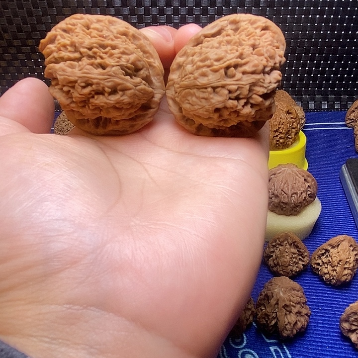 42南疆天残脚无修