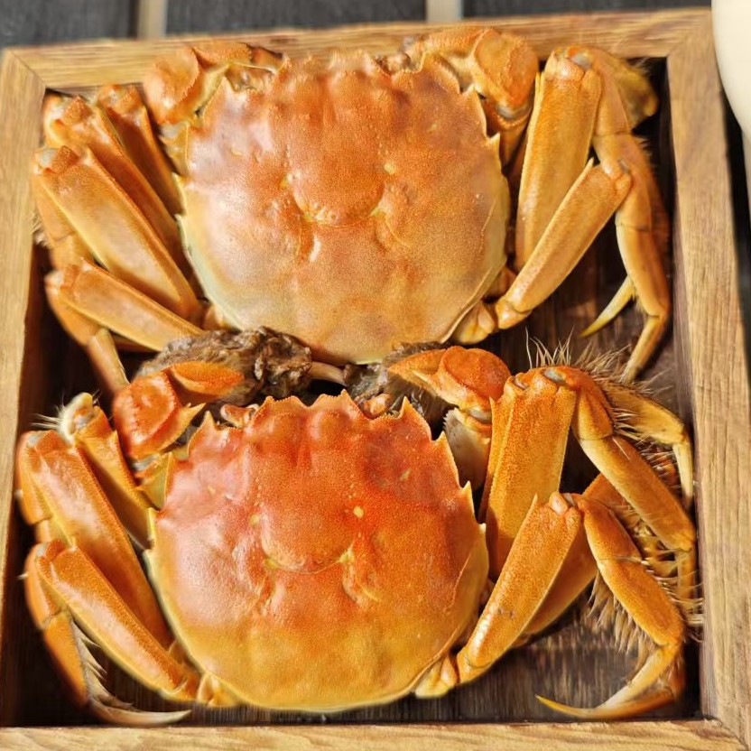 【二斤活蟹】河蟹1-1.3.两全母蟹16-20只左右