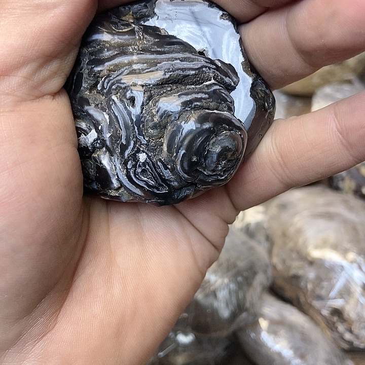 玛瑙/玉髓珠宝奇石未镶嵌