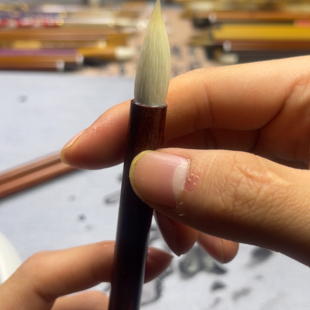 单支新款羊毫直播福利3.0