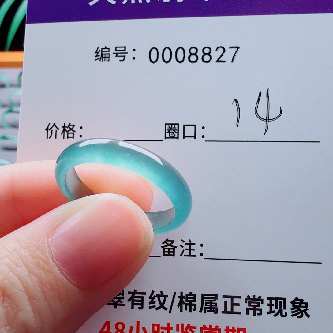 未镶嵌戒圈翡翠H****h翡翠