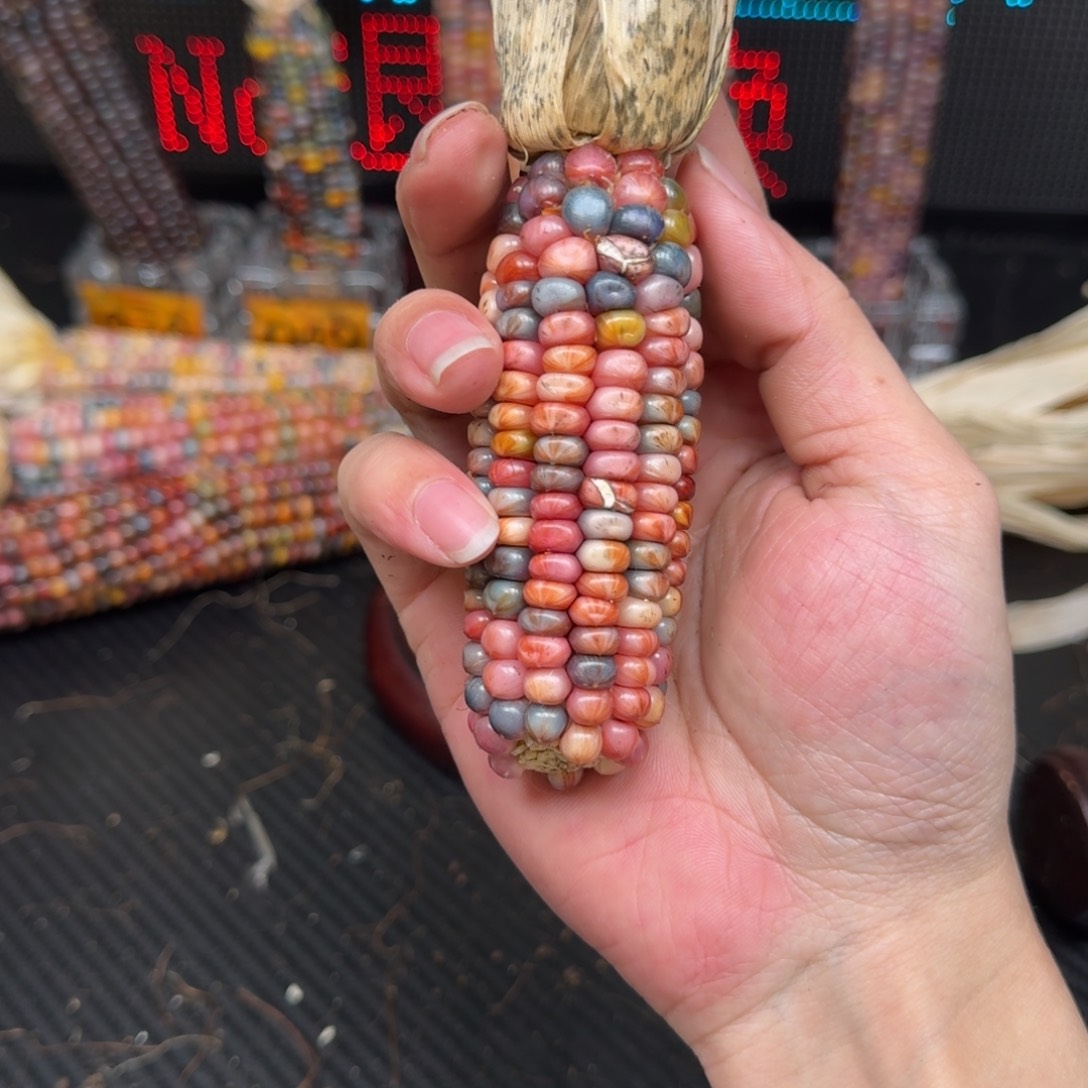 柏香籽/百香籽吊坠春**冬