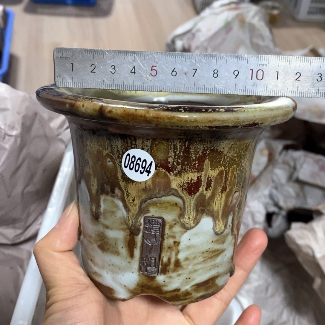 花盆拍3送一个小礼物