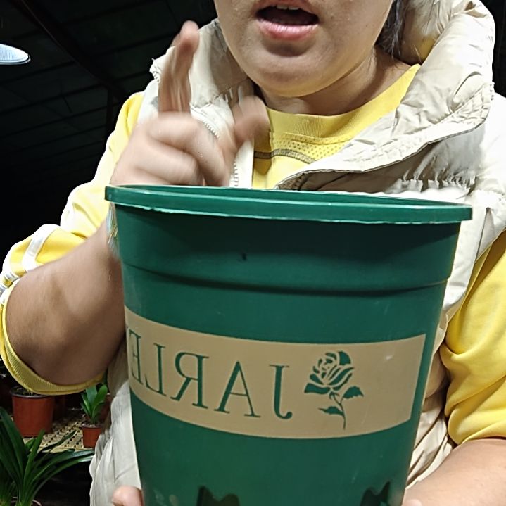 平***8无花朵平平安安     10米换土