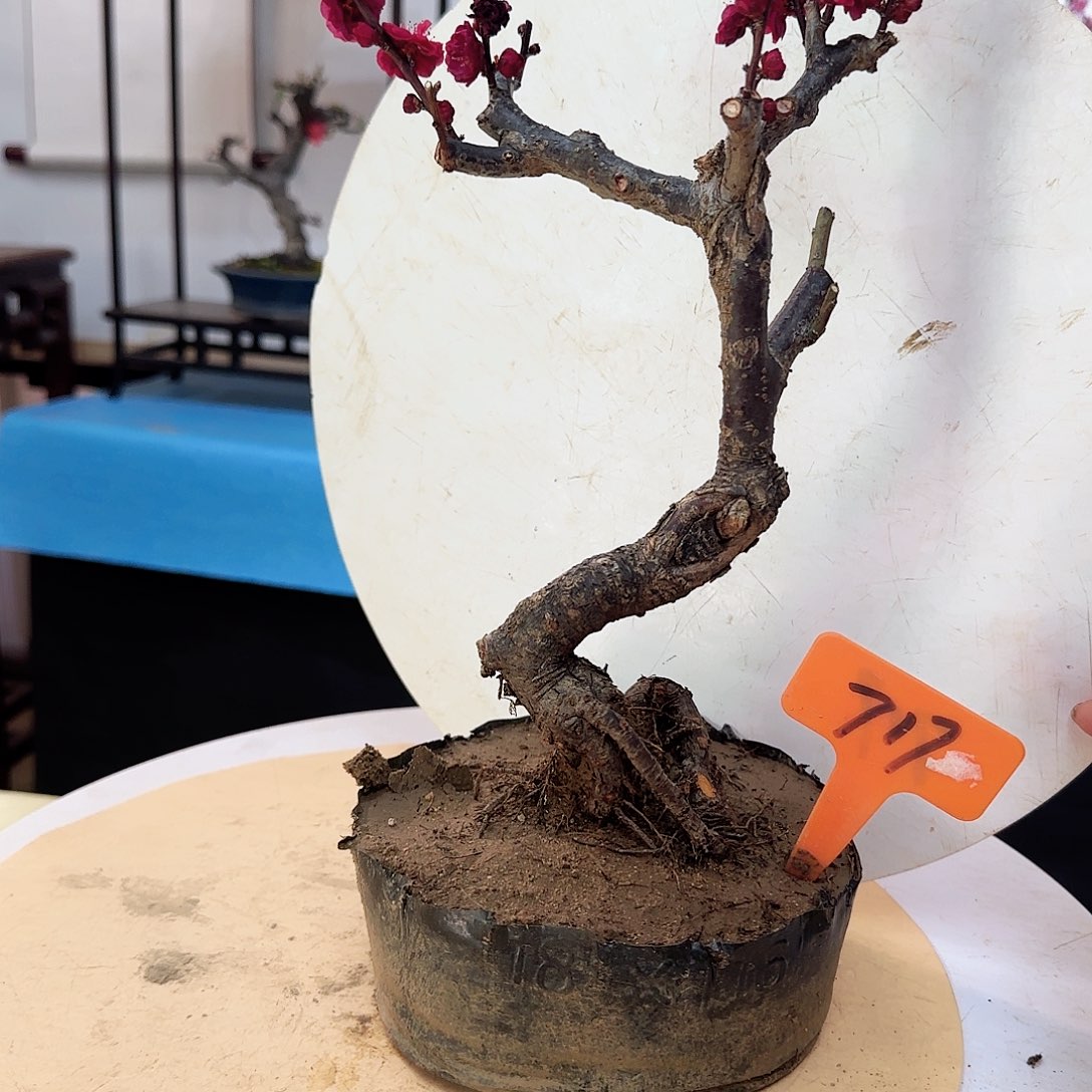 红陶山*间d g h j k l l