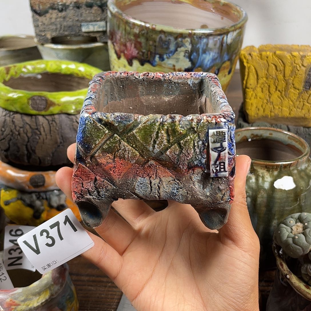 默认微次  限时福利 坛子姐花盆