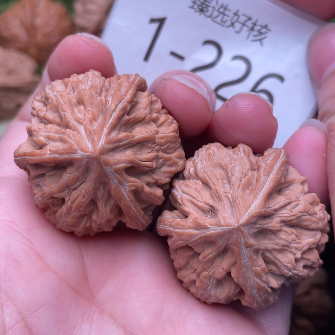 文玩核桃把件文山球奔37