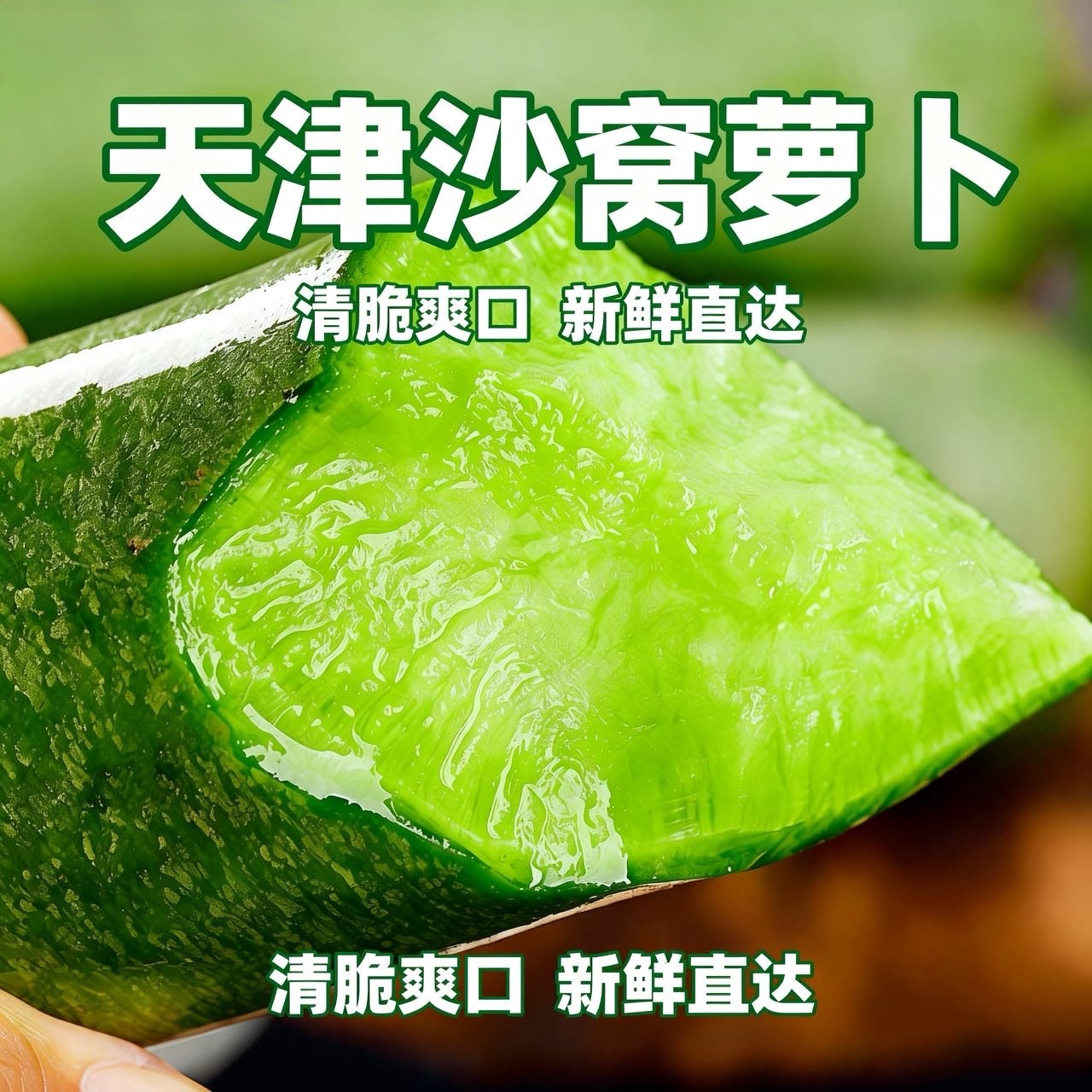 天津正宗沙窝水果萝卜青萝卜新鲜5斤-9斤装生吃清脆（陆地天星2号）