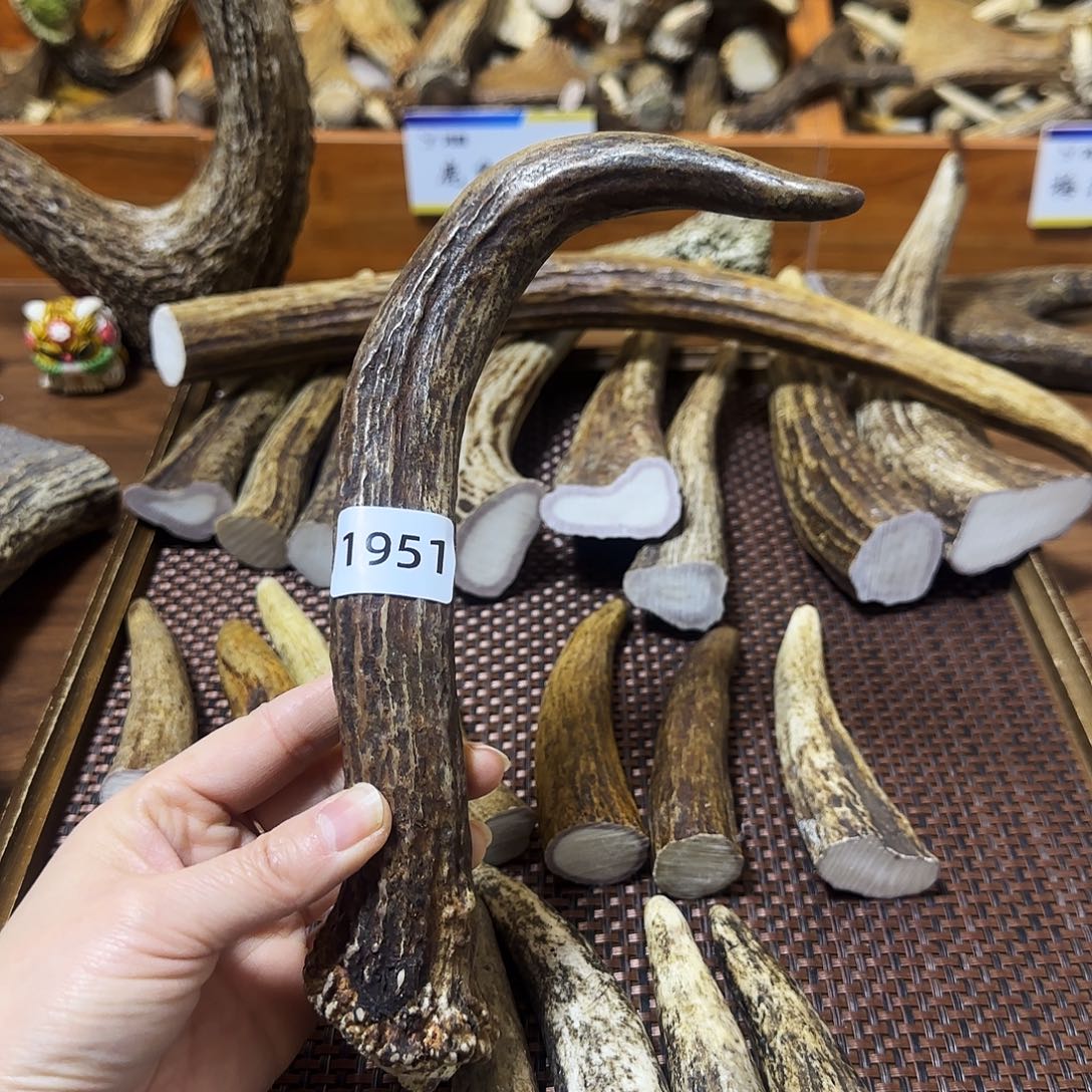 手串/手链鹿骨1951角尖