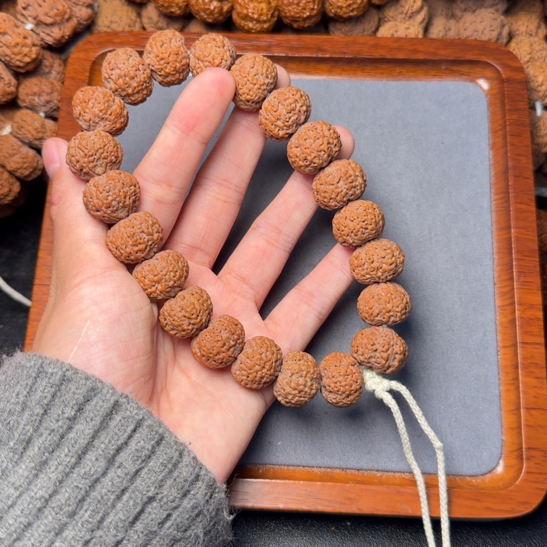 5号尼泊尔大金刚17五星蜂王菠萝蜜手持