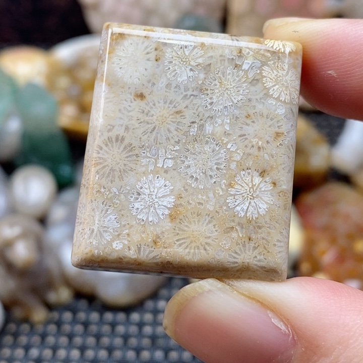 硅化珊瑚（珊瑚玉）颈饰未镶嵌