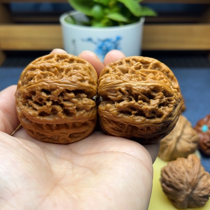 48九龙筋狮子头手工打底