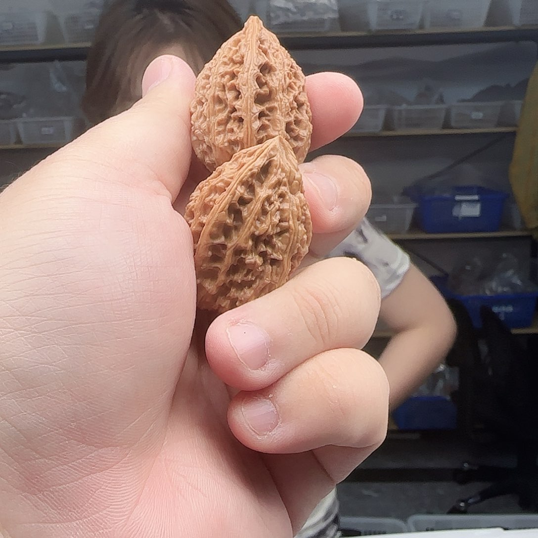 文玩核桃把件30朝天锥