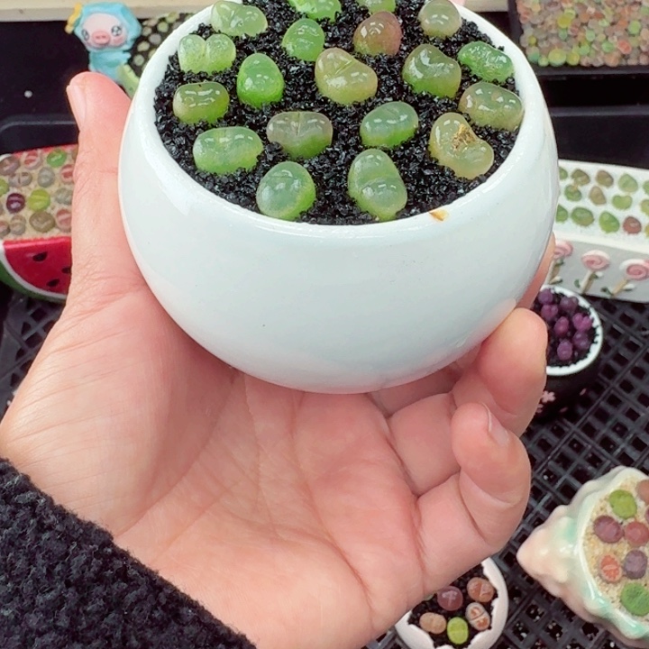 823零下地区记得拍保温箱满18包邮