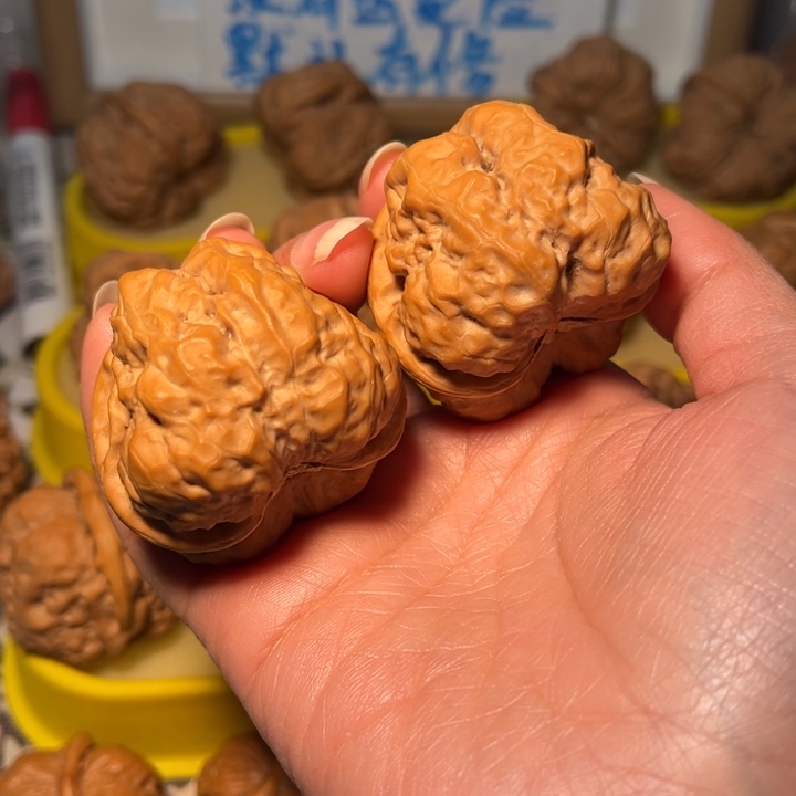 核桃蛙蛙42➕。。。。。。。。。