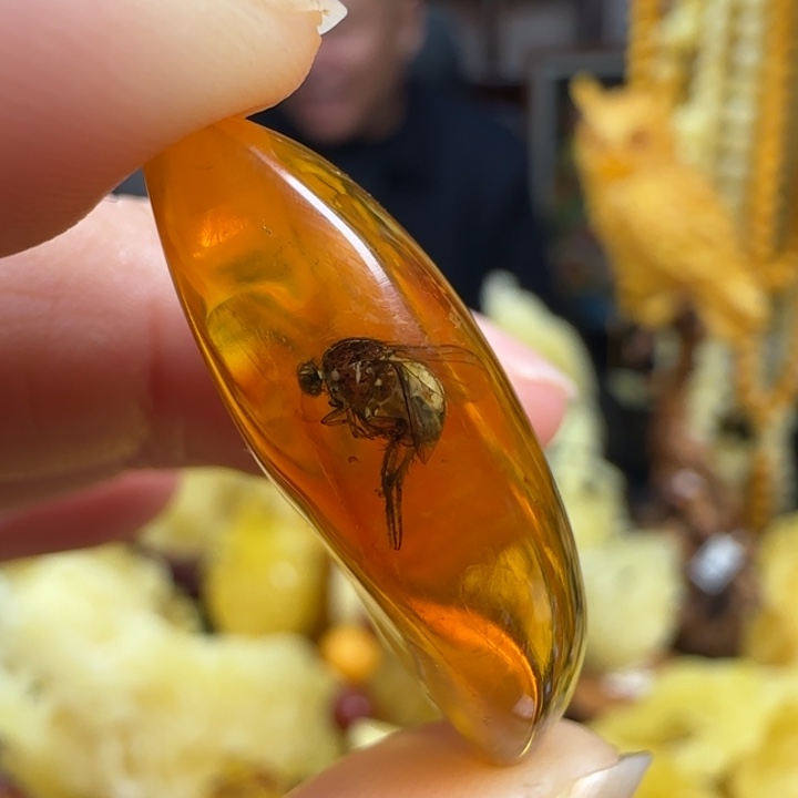 琥珀珠宝奇石未镶嵌嗯*