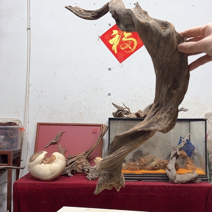 柏木g****g我们的生活是以自己