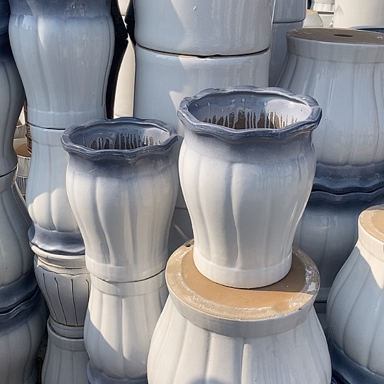 渐变灰南瓜中口25高32福利