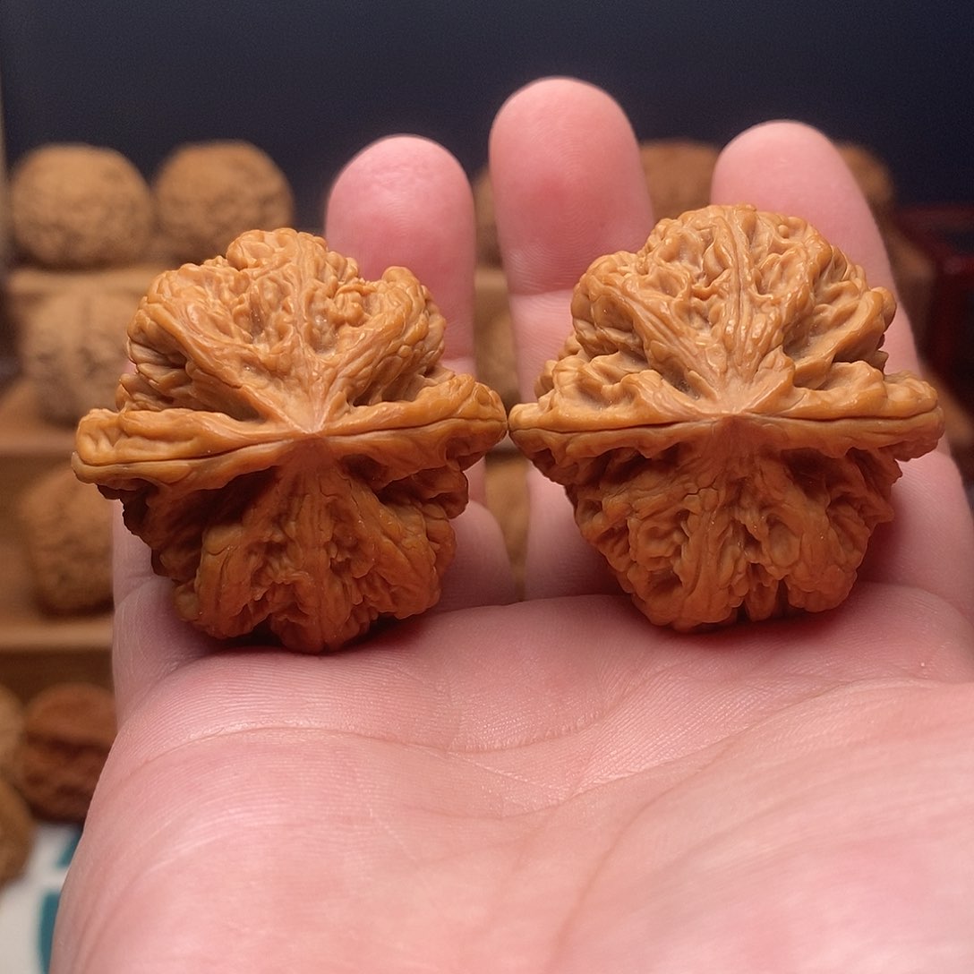 文玩核桃把件42粗筋