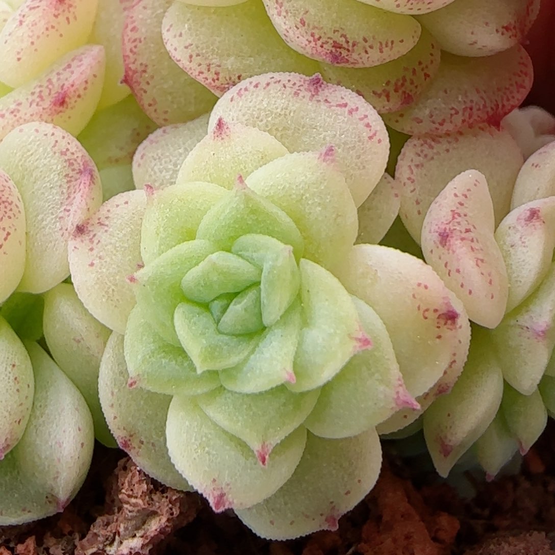 ?****?【闪购商品】0307-106（ht-62）