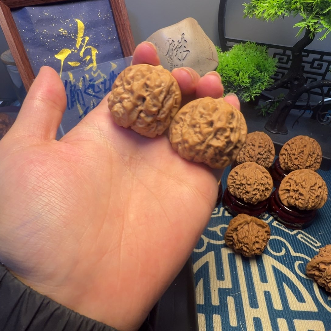 36尺白茬蛤蟆头核桃