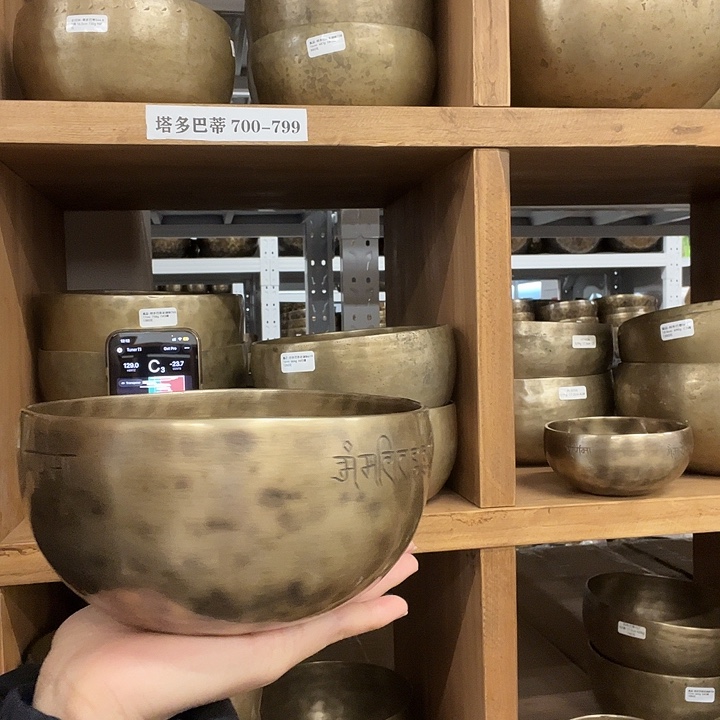 梵木果满月15厘米D4