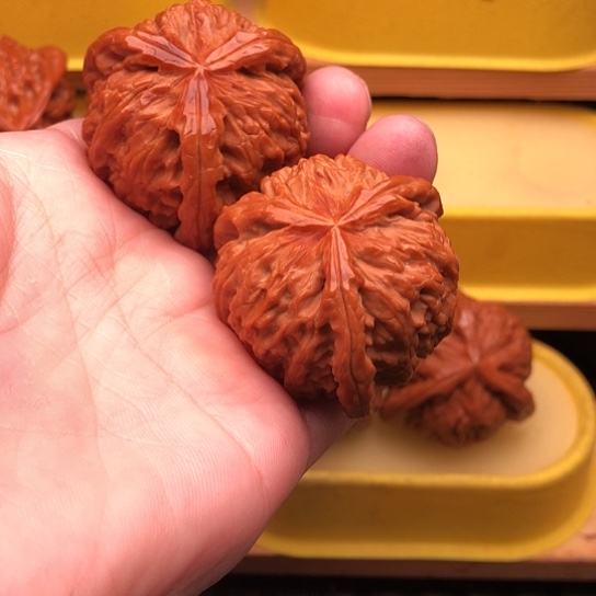 文玩核桃吊坠大*核桃