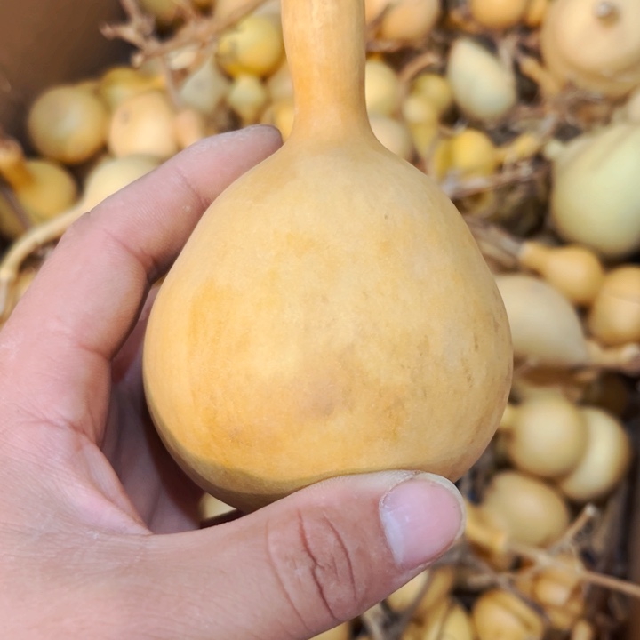 船*?文玩葫芦八宝葫芦
